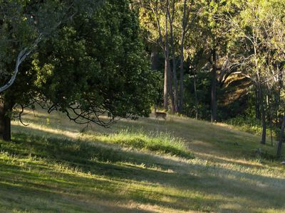 486 Mitchell Road, Tatong