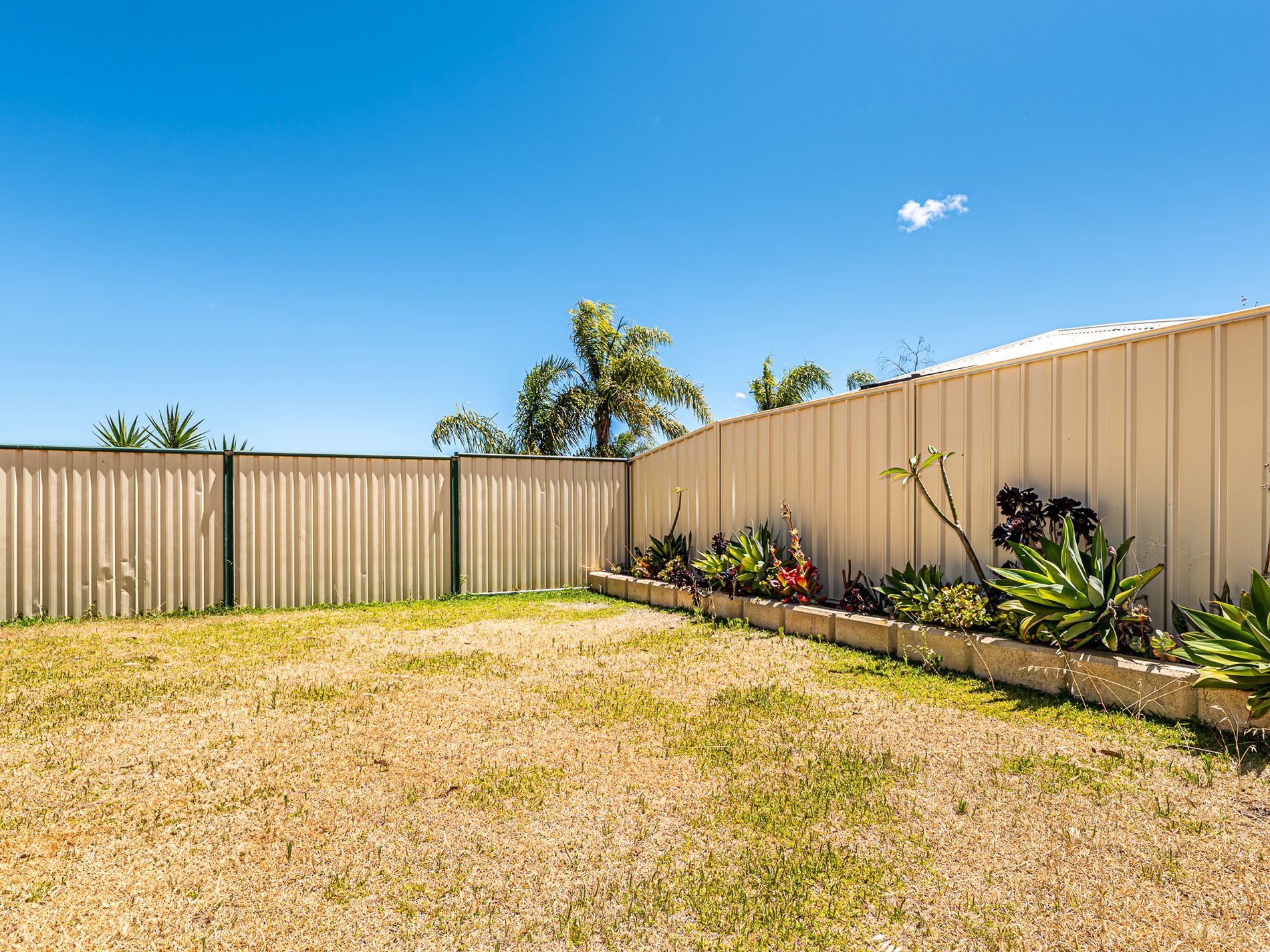 11 McNairn Cross, Leda