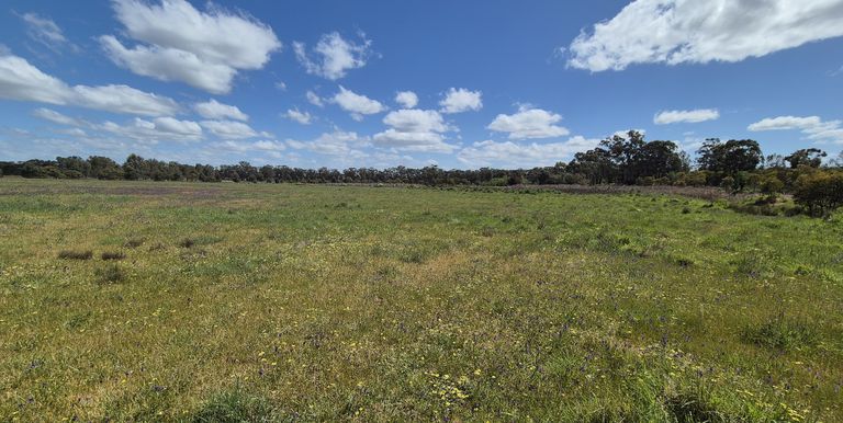 Lot 2 Gellibrand Tonks Road , Earlston