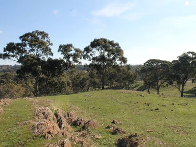 670 Spring Flat Road, Heathcote