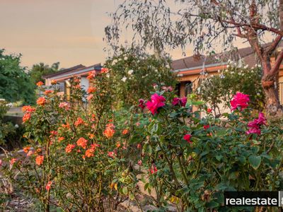 14B Alderhaus Drive, Kingsley