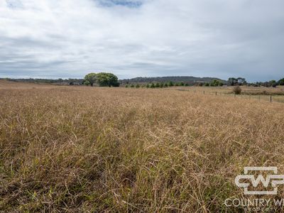 172 Hazelwood Road, Stonehenge