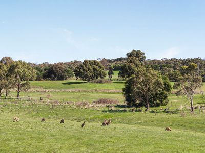 Lot 8 Lancefield-Tooborac Road, Lancefield