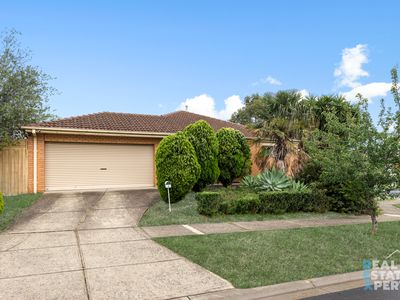 6 Nilufa Court, Hampton Park