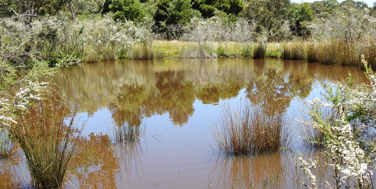 Lot 1 & 2, Bonniedoon Road Marraweeny, Strathbogie