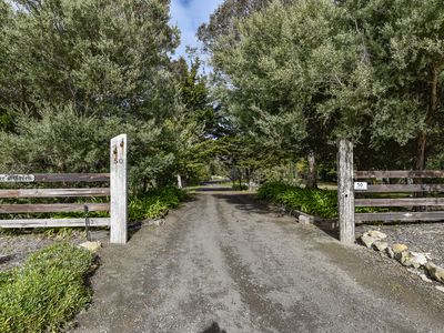 50 GELTWOOD DRIVE, Beachport