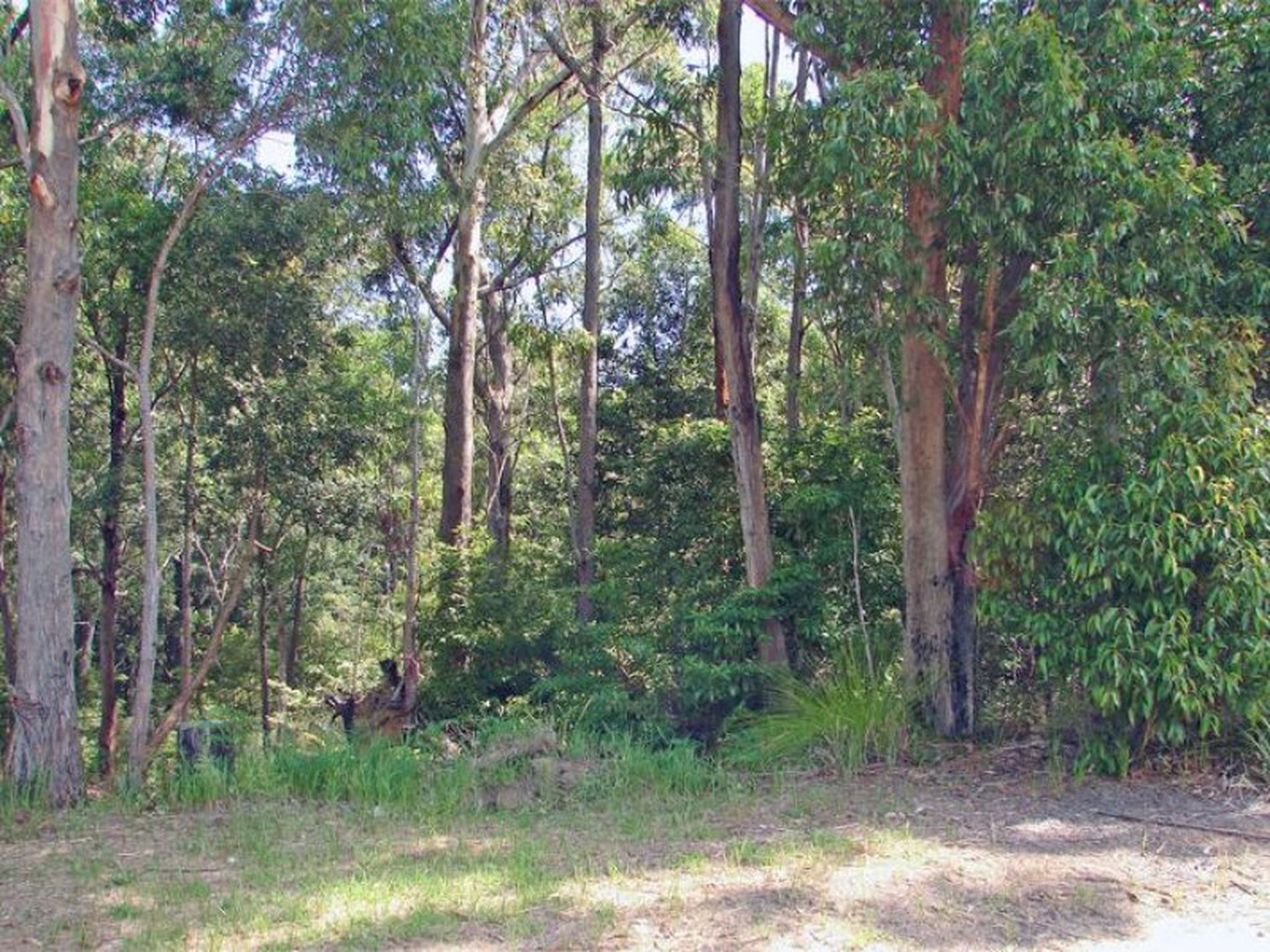 3 North Street, Ulladulla