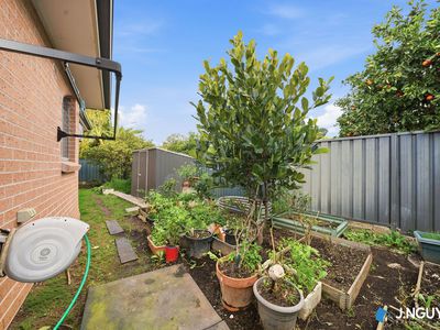 62 Mallacoota Street, Wakeley