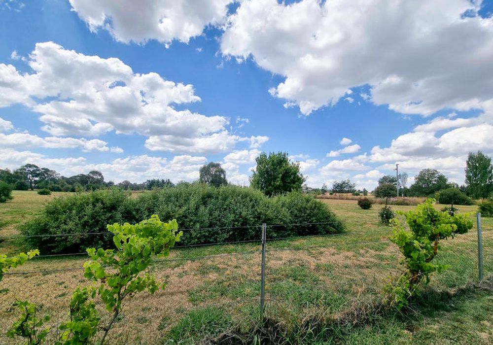 27 Dog Trap Lane, Orange