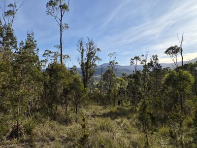 77 Grovenor Rise, Grove