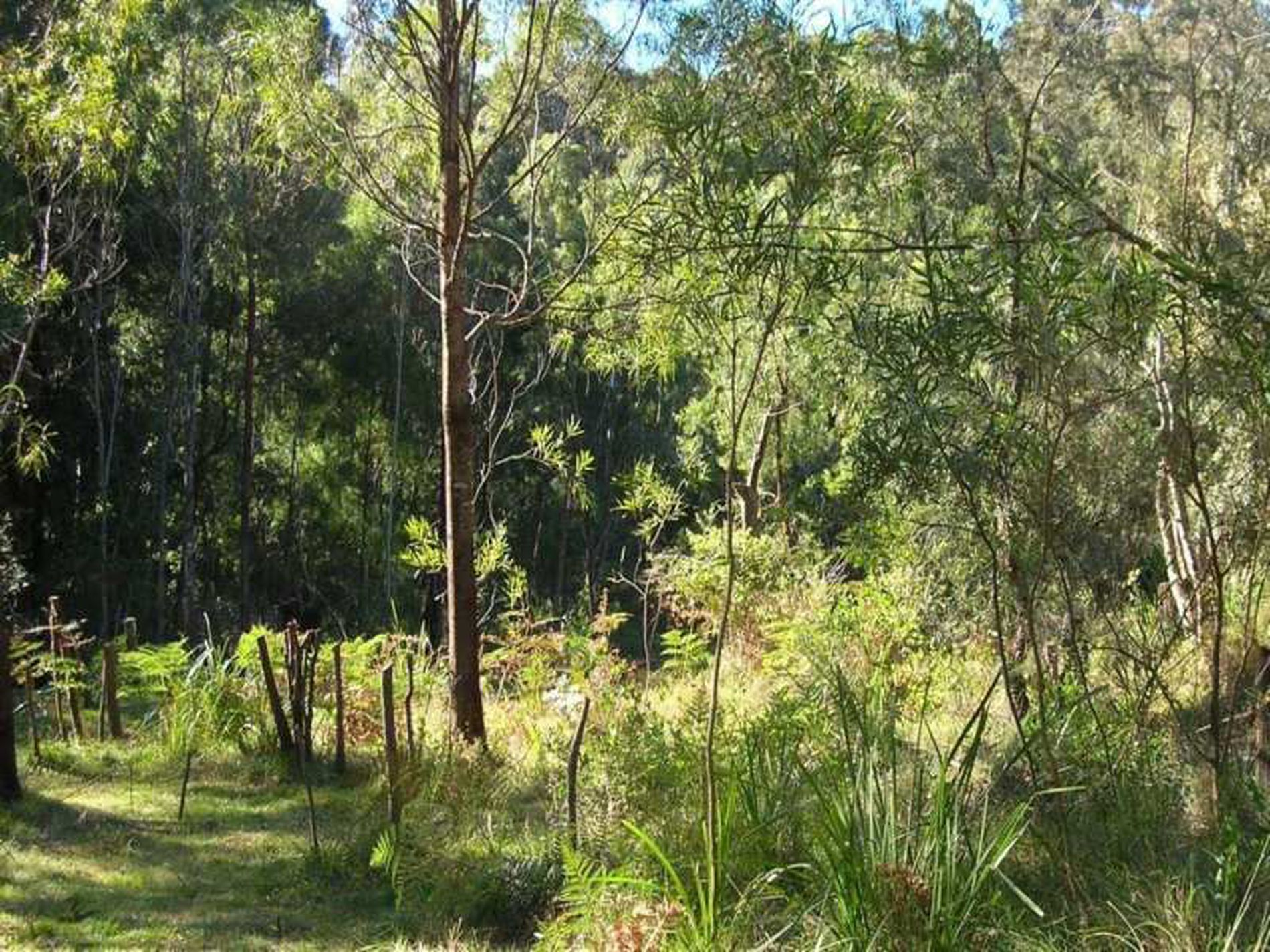 650E 650E Woodburn Road, Milton