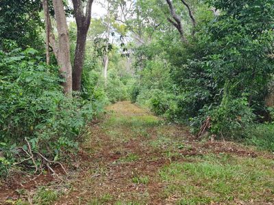Lot 21, Old Dairy Road, Cooktown