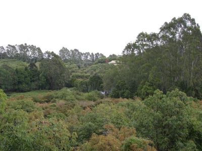 Montville
