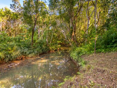 9 Left Bank Road, Mullumbimby