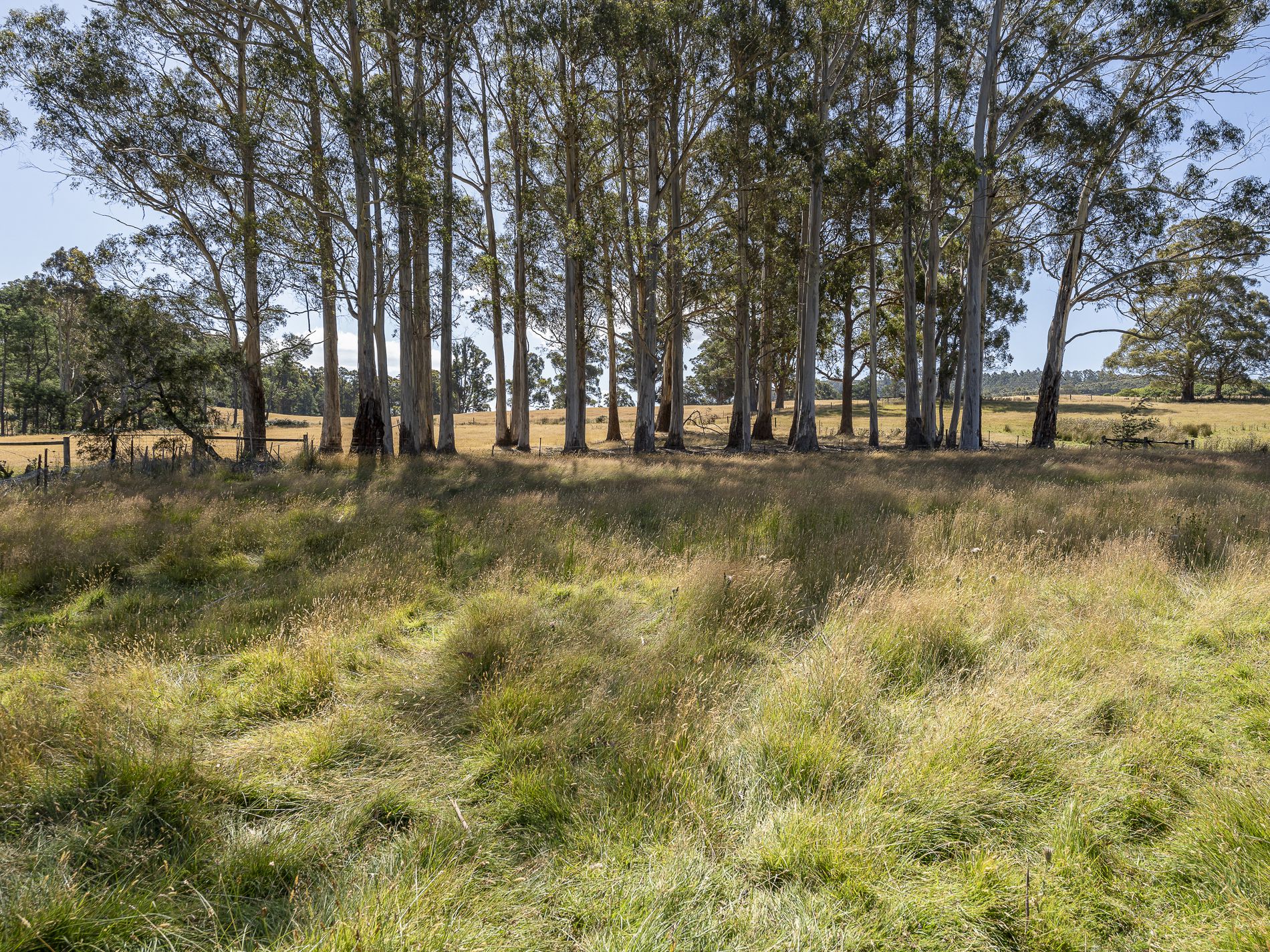 42 Hermons Road, Geeveston