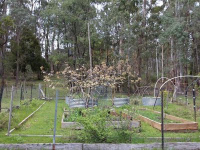 2700 Mansfield Whitfield Road, Tolmie