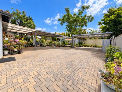 3 Wyndham Street, St James