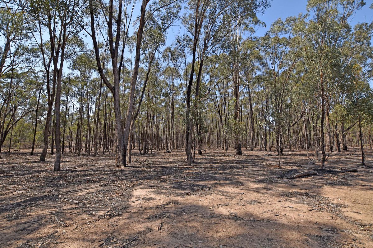 Lot 3, Strays Lane, Rushworth