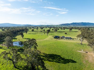 43 Dueran Lane, Mansfield