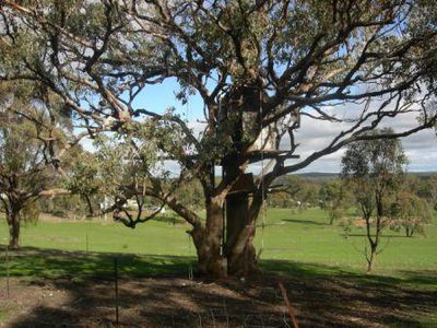 42 Codes Lane, Heathcote