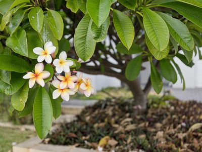 23 Kirkpatrick Court, Seville Grove