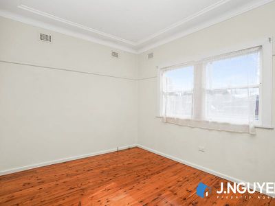 141 Nelson Street, Fairfield Heights