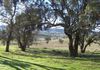2077 Ophir Road, Bathurst