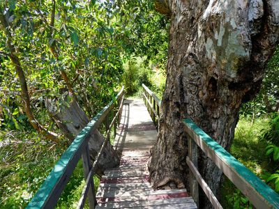 30 Boongarry Road, Trawool