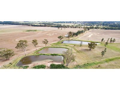 Parkes