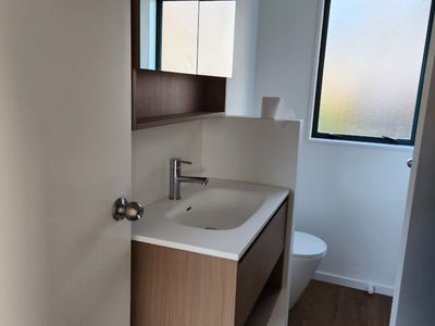 54B Kowhai Street, Hamilton Lake