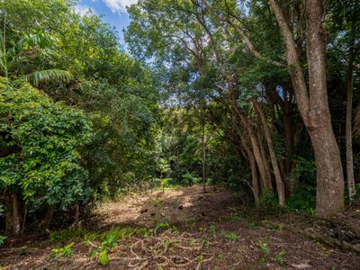 11 Carrington Drive, Flaxton