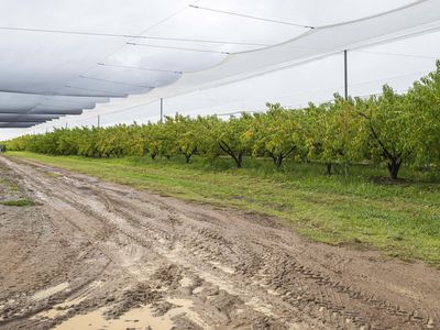 154 Aberfoyle Road, Wedderburn