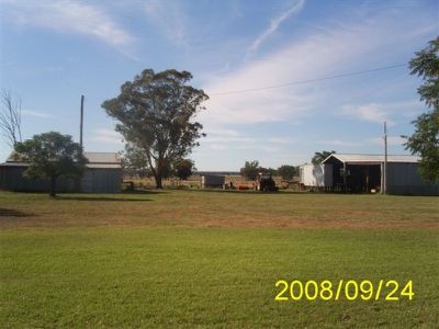 'Palmdale' 208R Mogriguy Road, Eumungerie