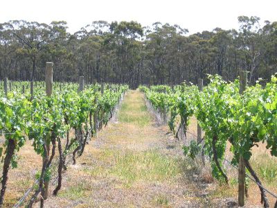 00 Rowbottoms Track, Heathcote