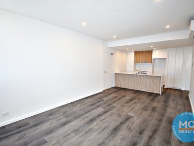 605 / 11 RAPHAEL STREET, Lidcombe
