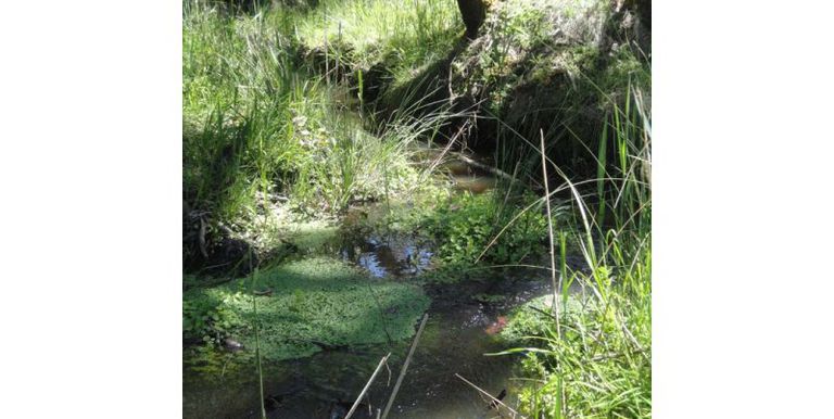 Watkins Road, Strathbogie