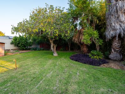 369 KENILWORTH STREET, East Albury