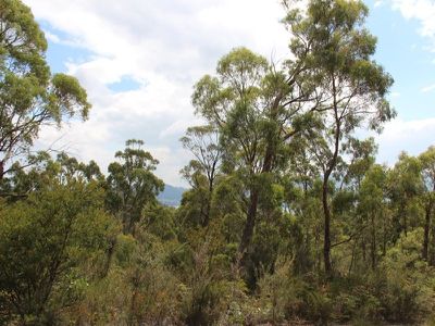 Lot 4 Esperance Coast Road, Surges Bay