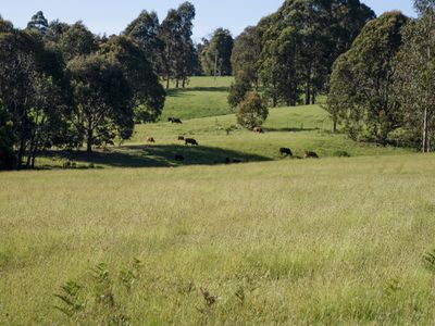 696 Glenroy Road, Merrijig