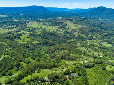 711 Mountain Top Road, Nimbin