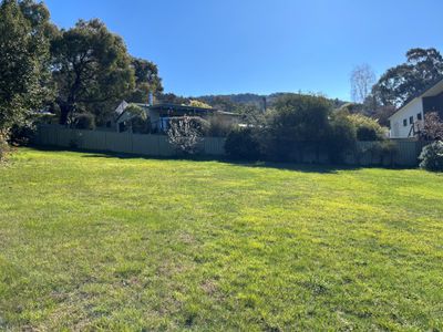 19 Feathertop Street, Tawonga South