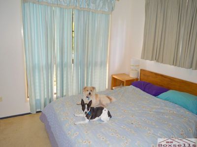 152 Schultz Road, Maleny