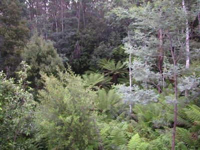 75 Hankin & Robertson Road, Geeveston
