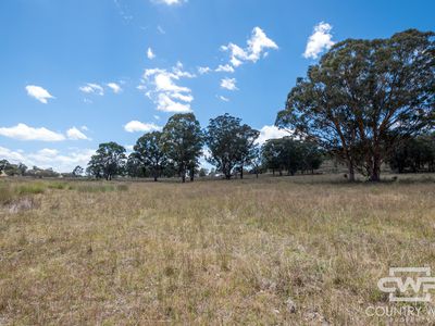 Lot 6, 2202 Wellington Vale Road, Emmaville