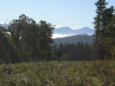 Lot 3, 1654 Cygnet Coast Road, Cradoc