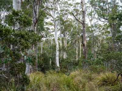 'Hardings Bay Retreat', Lake Leake Road, Lake Leake