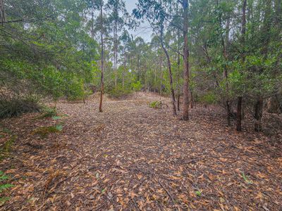 Lot 1, Link Road, Lonnavale