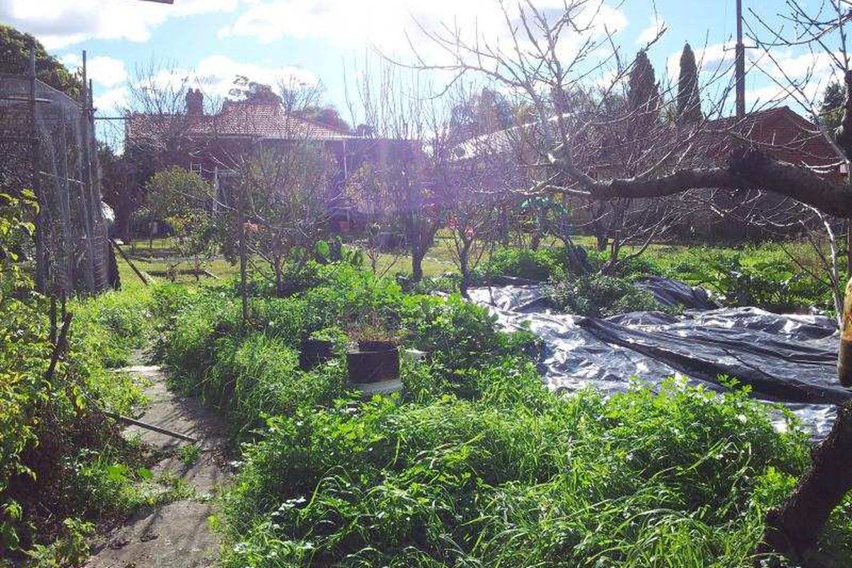 Property Image