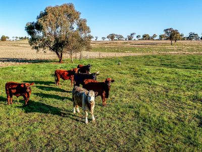5R Rocky Road, Dubbo