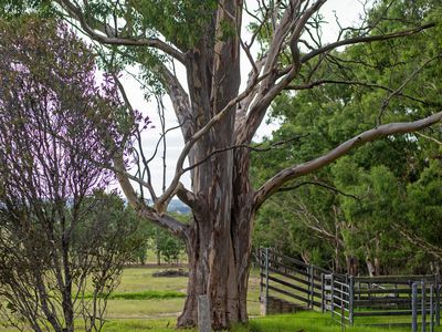 50 Locks Road, Boisdale